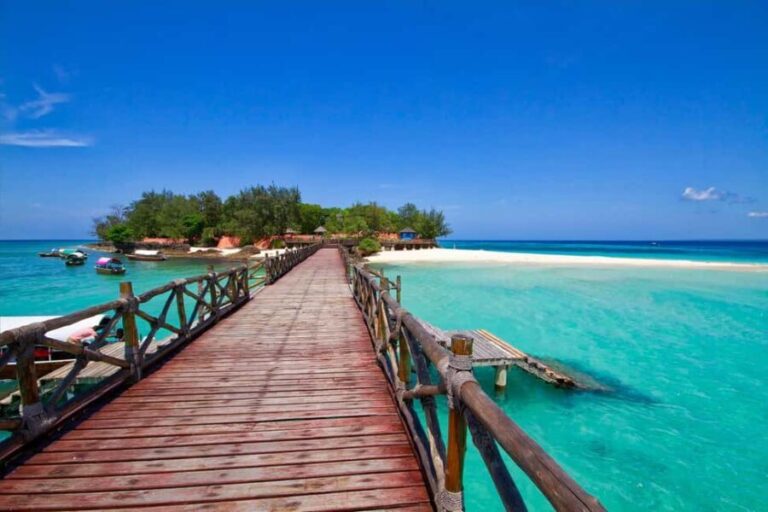 Zanzibar: Half-Day Tour Prison & Turtle Island tour - Transportation & Logistics