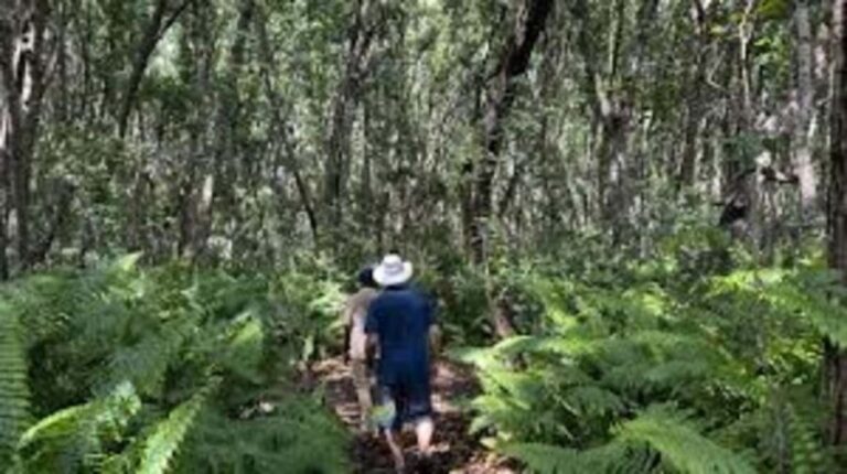 Zanzibar: Half-Day Village Spice Farm Tour with Local Guide - Who is this tour best suited for?