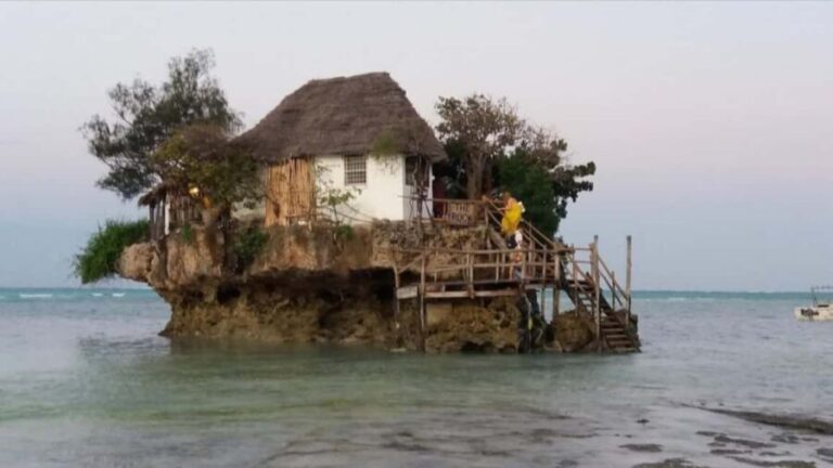 Zanzibar hidden: Starfish, Blue Lagoon, &The Rock Restaurant - Snorkeling at Blue Lagoon – A Secluded Underwater Paradise