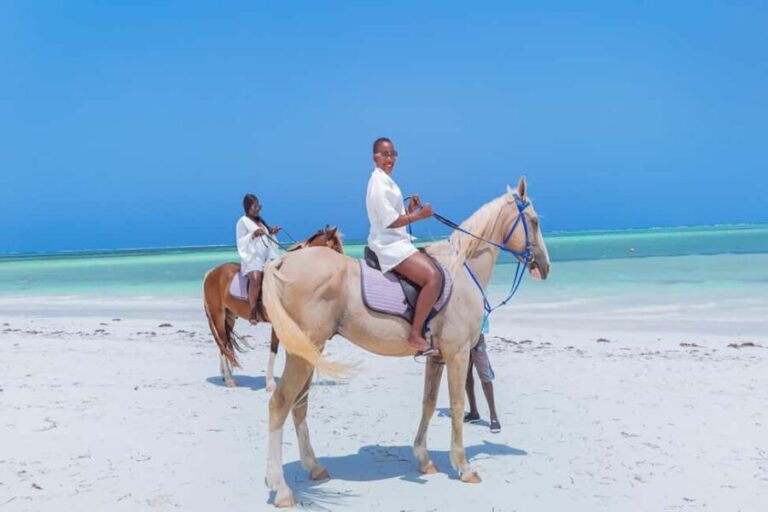 Zanzibar: Horse Riding and Kayaking with Video and Photos - The Sum Up