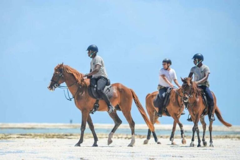 Zanzibar Horseback Riding - The Beach Ride and Swimming Experience