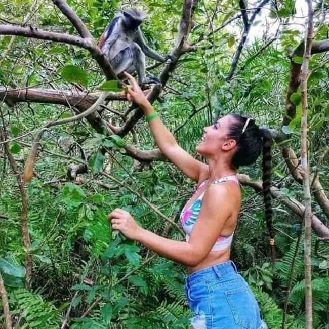 Zanzibar: Into the Wild-Red Colobus Safari in Jozani Forest - An Overview of the Tour Experience
