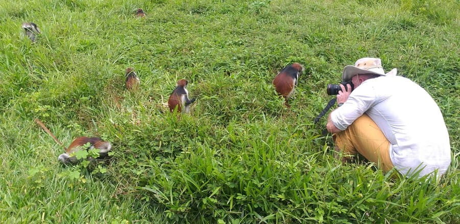 Zanzibar: Jozani Chwaka Bay National Park and Spice Farm - The Spice Farm Experience