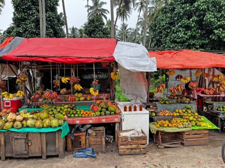 ZANZIBAR: JOZANI FOREST - Why This Tour Offers Good Value