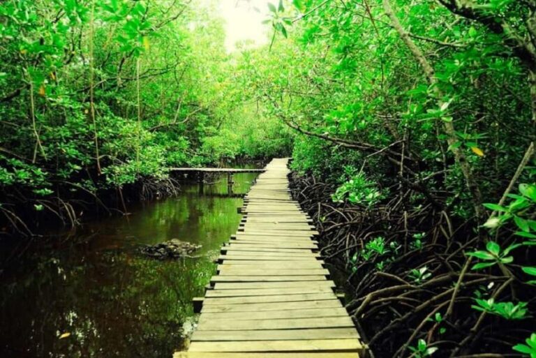 Zanzibar: Jozani Forest and Rock Restaurant Tour - The Experience: Authentic, Enjoyable, and Value-Driven