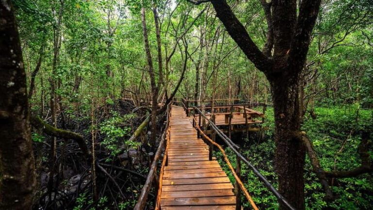 Zanzibar: Jozani Forest and Spice Farm expert Tour - Authenticity and Cultural Touches