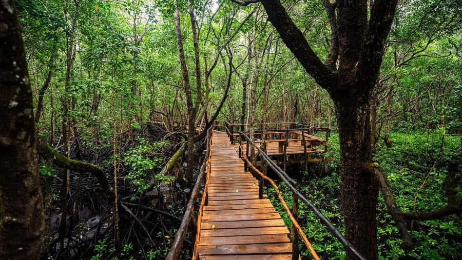 Zanzibar: Jozani Forest and Spice Farm expert Tour