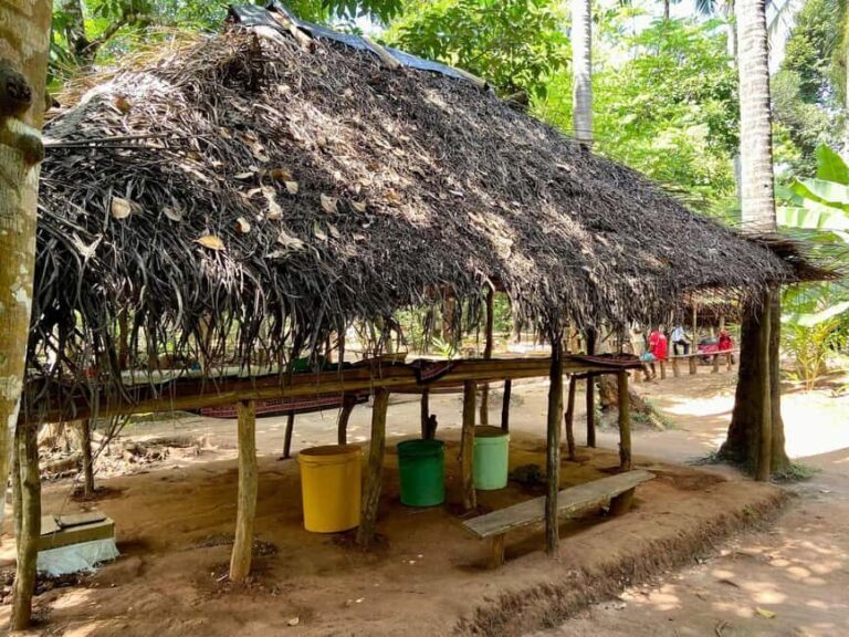 Zanzibar: Jozani forest and Spice farm tour - The Spice Farm Experience