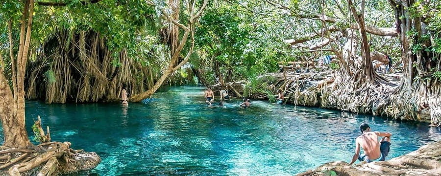 Zanzibar: Jozani Forest and Spice Farm Tour with Transfer - Mangrove Swamp and Wildlife Watching