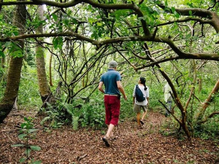 ZANZIBAR: Jozani forest and Spice farm with cooking class - Final Thoughts: Who Will Love This Tour?