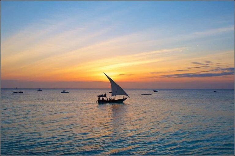 Zanzibar - Jozani Forest & Blue Lagoon trip - Discovering Zanzibar’s Natural Treasures