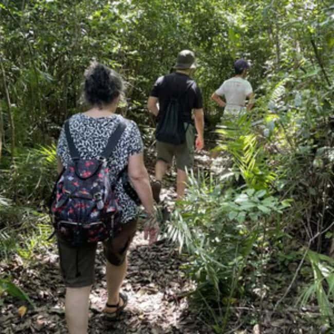 ZANZIBAR: Jozani Forest guided tour & Butterfly Sanctuary - Why This Tour Offers Good Value