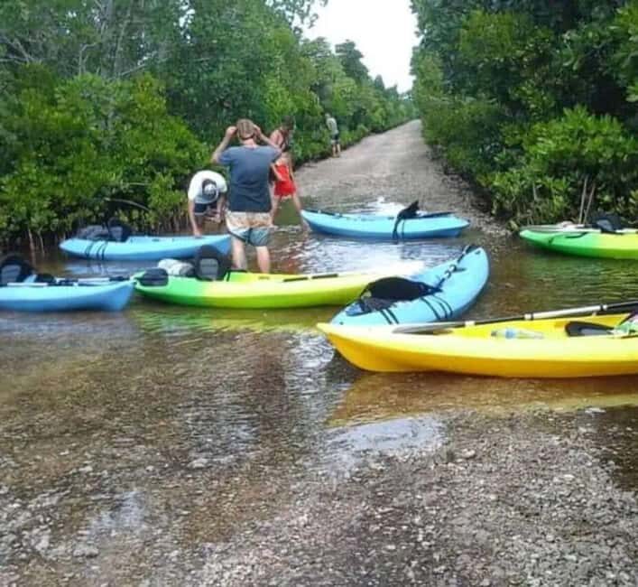 ZANZIBAR; Jozani forest & Mangrove Kayak Tour - FAQ about the Zanzibar Jozani Forest & Mangrove Kayak Tour