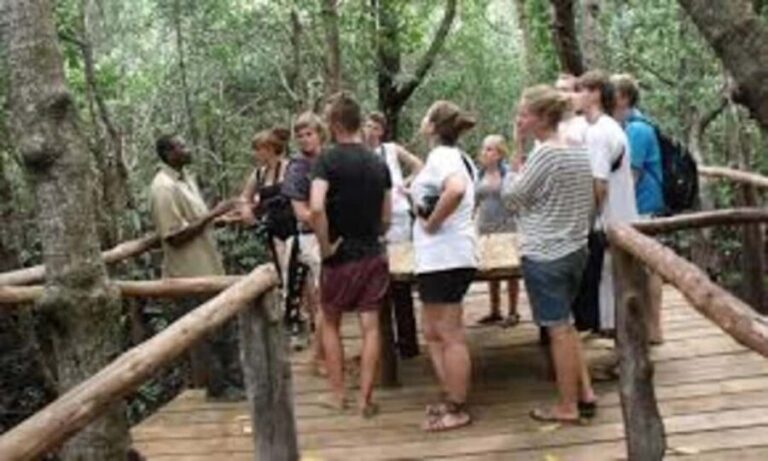 Zanzibar: Jozani Forest & Mangroves Bay Day Trip with Lunch - The Sum Up