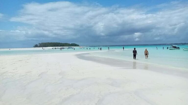 ZANZIBAR: Jozani Forest & Mnemba Dolphin Snorkeling with BBQ - The Marine Magic of Mnemba Atoll
