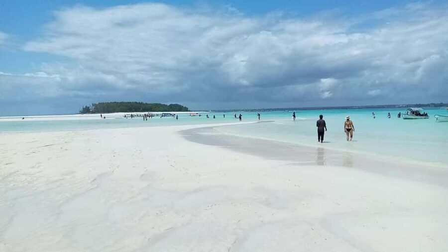 ZANZIBAR: Jozani Forest & Mnemba Dolphin Snorkeling with BBQ