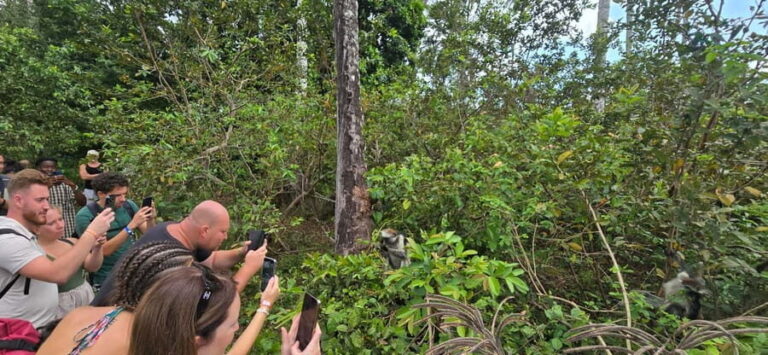 Zanzibar: Jozani Forest National Park Guided Tour - Authentic Experiences: From a Guest’s Perspective