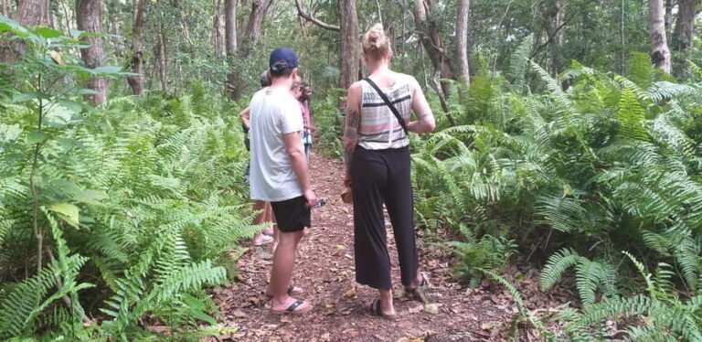 Zanzibar: Jozani Forest & Red Colobus Monkeys Private Tour - The Practical Side: What to Expect