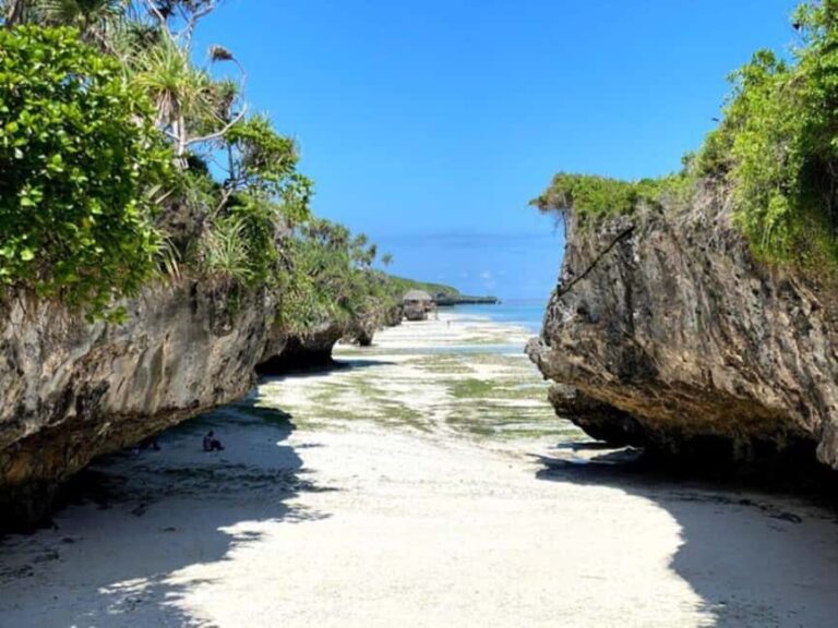 Zanzibar: Jozani Forest, Reptile Park, and Mtende Beach Tour - Practical Details and Value