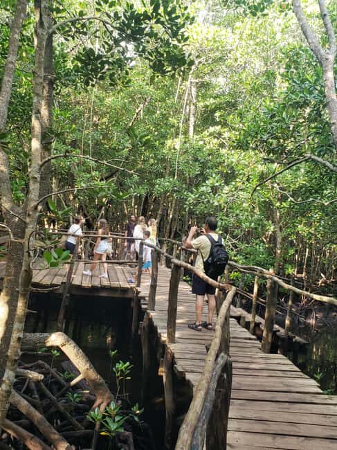 Zanzibar: Jozani Forest, Reptile Park, and Mtende Beach Tour - What’s Included and What’s Not