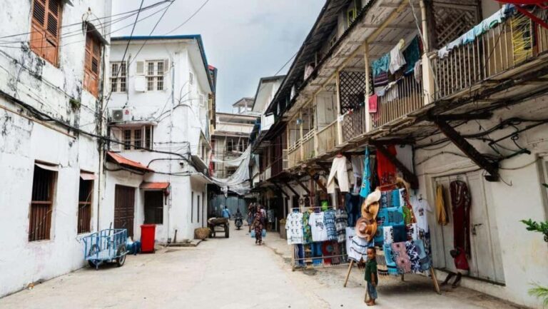 Zanzibar Jozani Forest, Saalam Cave, Stonetown &Night market - What’s Included and What’s Not