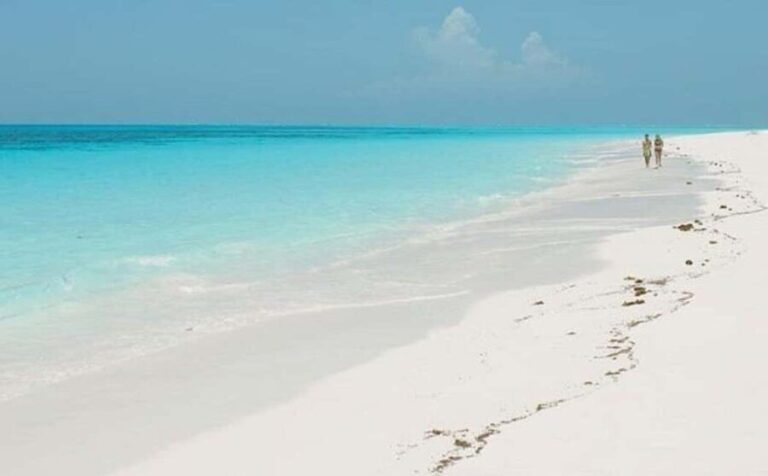 Zanzibar: Jozani Forest, Salaam Cave, & Mtende Beach Tour - A Deep Dive into the Tour Experience