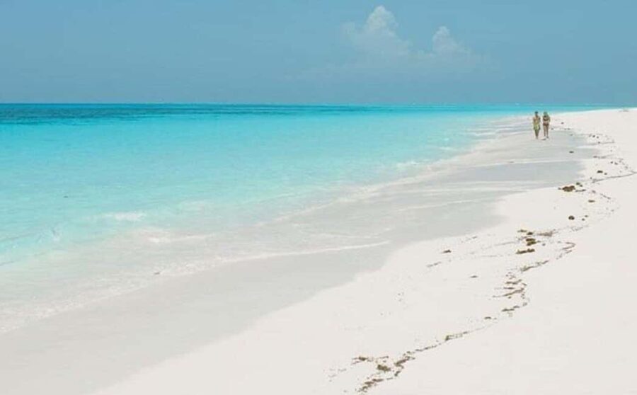 Zanzibar: Jozani Forest, Salaam Cave, & Mtende Beach Tour - A Deep Dive into the Tour Experience