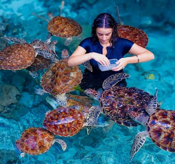 Zanzibar: Jozani Forest & Salaam Cave Sea Turtles Swim Tour - Who Will Love This Tour?