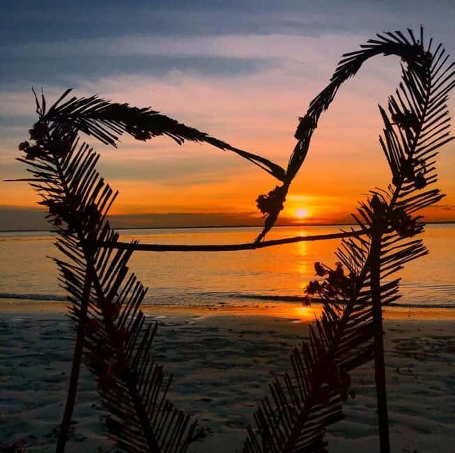 Zanzibar: Jozani Forest, Salaam & Maalum Caves and Sunset - What’s Included and What to Consider