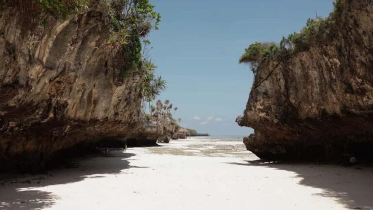 Zanzibar: Jozani Forest, Salam cave & Mtende Beach Tour - The Practicalities of the Tour