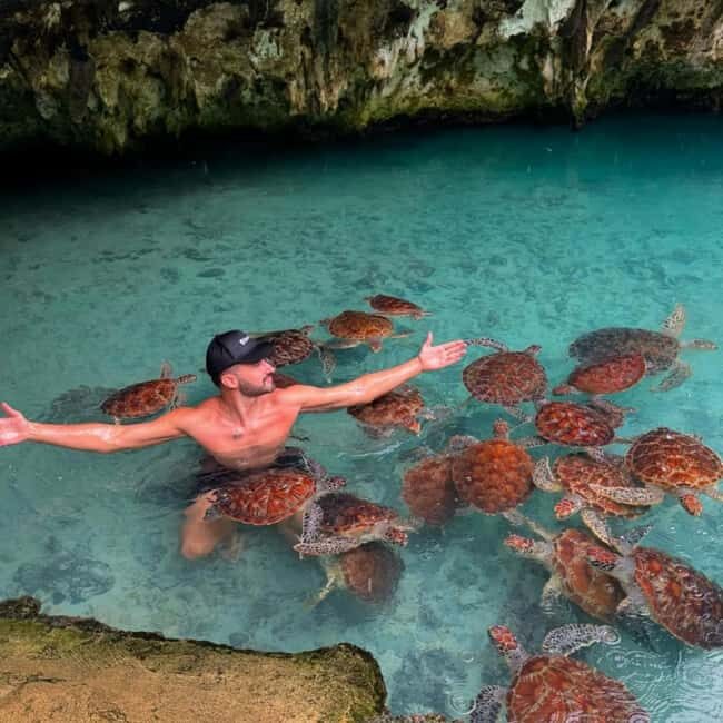 Zanzibar: Jozani forest, Sea tortoises & Mtende beach tour - Who Should Consider This Tour?