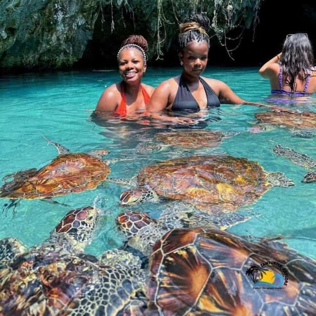 Zanzibar: Jozani Forest & Sea Tortoises Sanctuary Tour - How Does It Add Up in Terms of Value?