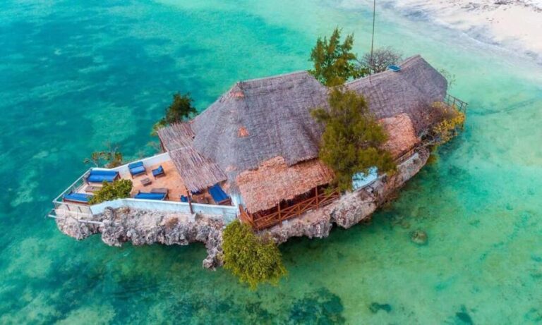 Zanzibar: Jozani Forest, Sea Turtles, & The Rock Restaurant - The Itinerary in Detail
