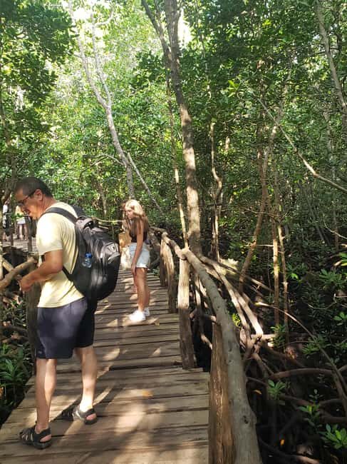 Zanzibar: Jozani forest, Spice farm and Salaam cave day trip - An In-Depth Look at the Tour Itinerary