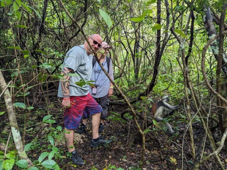 Zanzibar: Jozani Forest & Spice Farm Private Tour with Lunch - What’s Included and What You Should Know