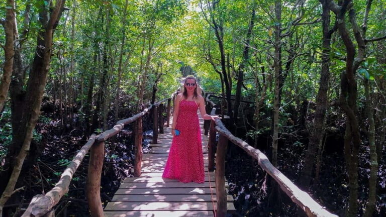 Zanzibar: Jozani Forest, Spice Farms, & Stone Town tours - What’s Included and What to Consider