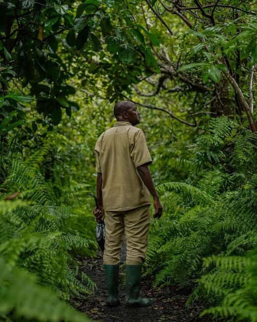 Zanzibar: Jozani Forest, Swahili Cave & Mtende Beach Tour - Discovering the Mystical Swahili Cave