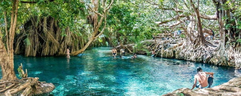 Zanzibar: Jozani Forest Watching Colobus Monkeys Guided Tour - Who Should Consider This Tour?