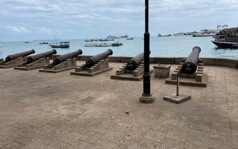 Zanzibar: Jozani forest, Zipline and Stone town city tour - Exploring Stone Town’s Cultural Heart