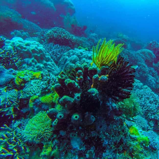 ZANZIBAR: Jozani Forest,Salaam Cave, The Rock & Blue Lagoon - Practical Details & Tips