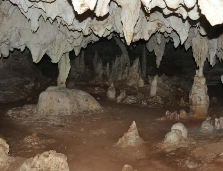 Zanzibar: Kiwengwa Forest and Beach Tour - Who Would Enjoy This Tour?