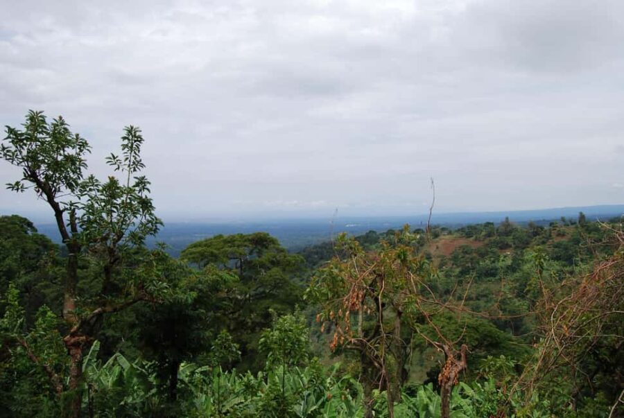 Zanzibar: Kiwengwa Forest and Caves Day Trip - Who Should Consider This Tour?