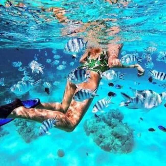 Zanzibar: Kiwengwa Reef Snorkeling and Sailing Tour - The Price and Its Value