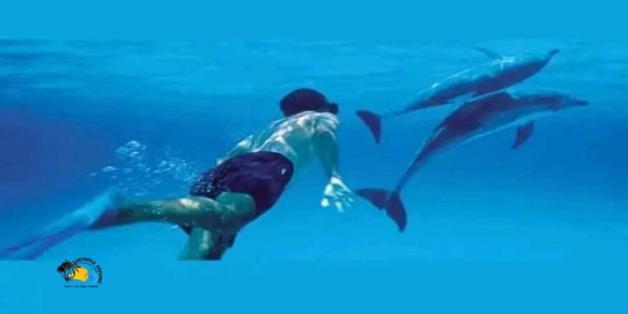 Zanzibar: Kizimkazi Dolphins Tour with Swimming & Snorkeling - The Logistics and Practicalities