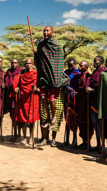 Zanzibar: Maasai village and Nungwi turtles experience trip - Who Should Consider This Tour?