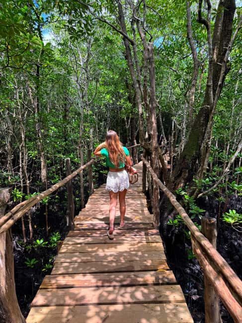 Zanzibar: Mangrove Forest Eco-Kayak Tour - The Itinerary in Detail