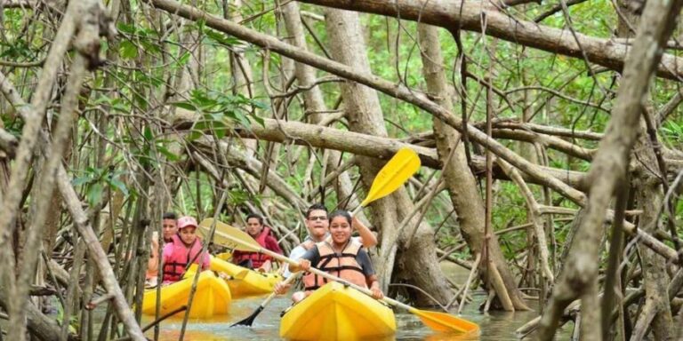 Zanzibar: Mangrove Forest Kayaking Tour & Paje Beach Visit - Authentic, Balanced, and Family-Friendly