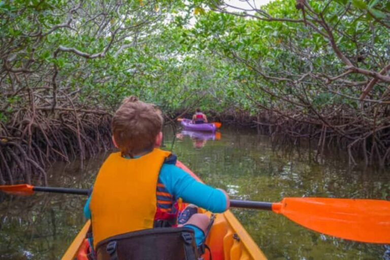 ZANZIBAR: Mangrove Kayaking Tour with Lunch - Final Thoughts