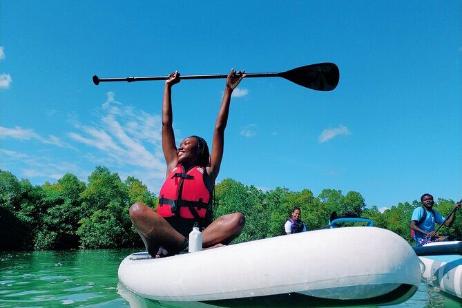 Zanzibar Memorable & Unique Guided Mangrove Tour by SUP or Kayak - What to Expect on the Tour