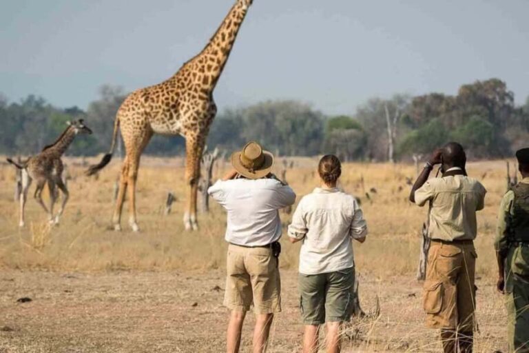 Zanzibar: Mikumi National Park Day Trip with Flights - What’s Included and What’s Not